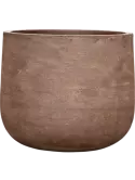 6AGRBDH31