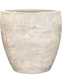 6AGRCCL13