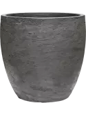 6AGRCSG94