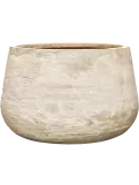 6AGRDCL19