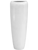6AMFP97SW