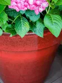 6ASHR6053_2