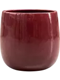 6BLNMA451