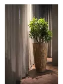6BOSA0102_1