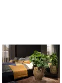 6BOSA0651_1