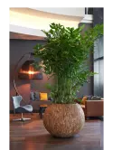 6BOSA2204_1