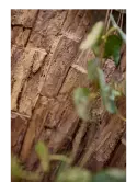 6BOSA2835_2