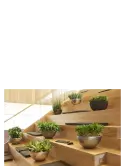 6BOSA3122_1