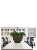 6BOSA5115_1