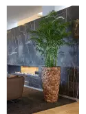 6BOSA5120_1