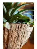 6BOSA5308_2