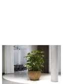 6BOSA5402_1