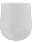 6BSTD5055