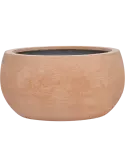 6CANSSL58