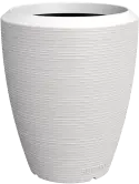 6CAP8023W