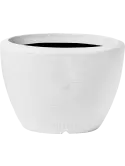 6CAP8034W