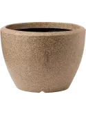6CAP8036T