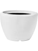 6CAP8037W