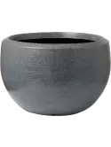 6CAP8051A