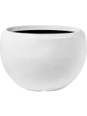 6CAP8055W