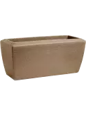6CAP8062T