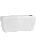 6CAP8062W