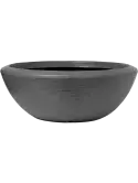 6CAP8081A