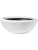 6CAP8082W