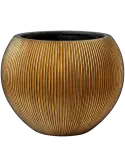 6CAPGG271