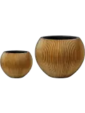 6CAPGG296