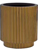 6CAPGG883
