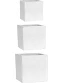 6CAPLG906