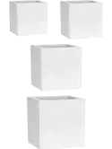 6CAPLG908