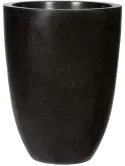 6CAPLT782
