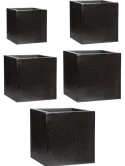 6CAPLT909
