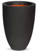 6CAPTB782
