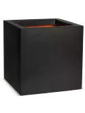 6CAPTB903