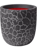 6CAPTCP62