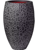 6CAPTCV60