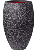 6CAPTCV62