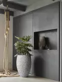 6CAPTCV70_1