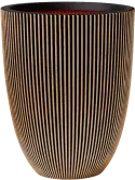 6CAPTG008