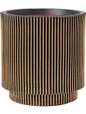 6CAPTG010