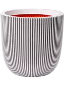 6CAPTG204