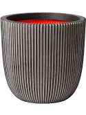 6CAPTG302