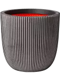 6CAPTG304