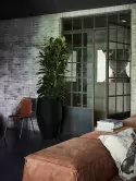 6CAPTIV29_1