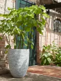 6CAPTOV62_1