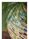 6CARA0397_2