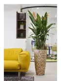 6CARA5390_1